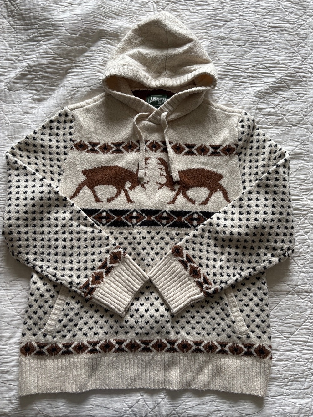 American Eagle Hooded Sweater